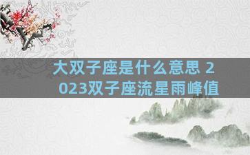 大双子座是什么意思 2023双子座流星雨峰值